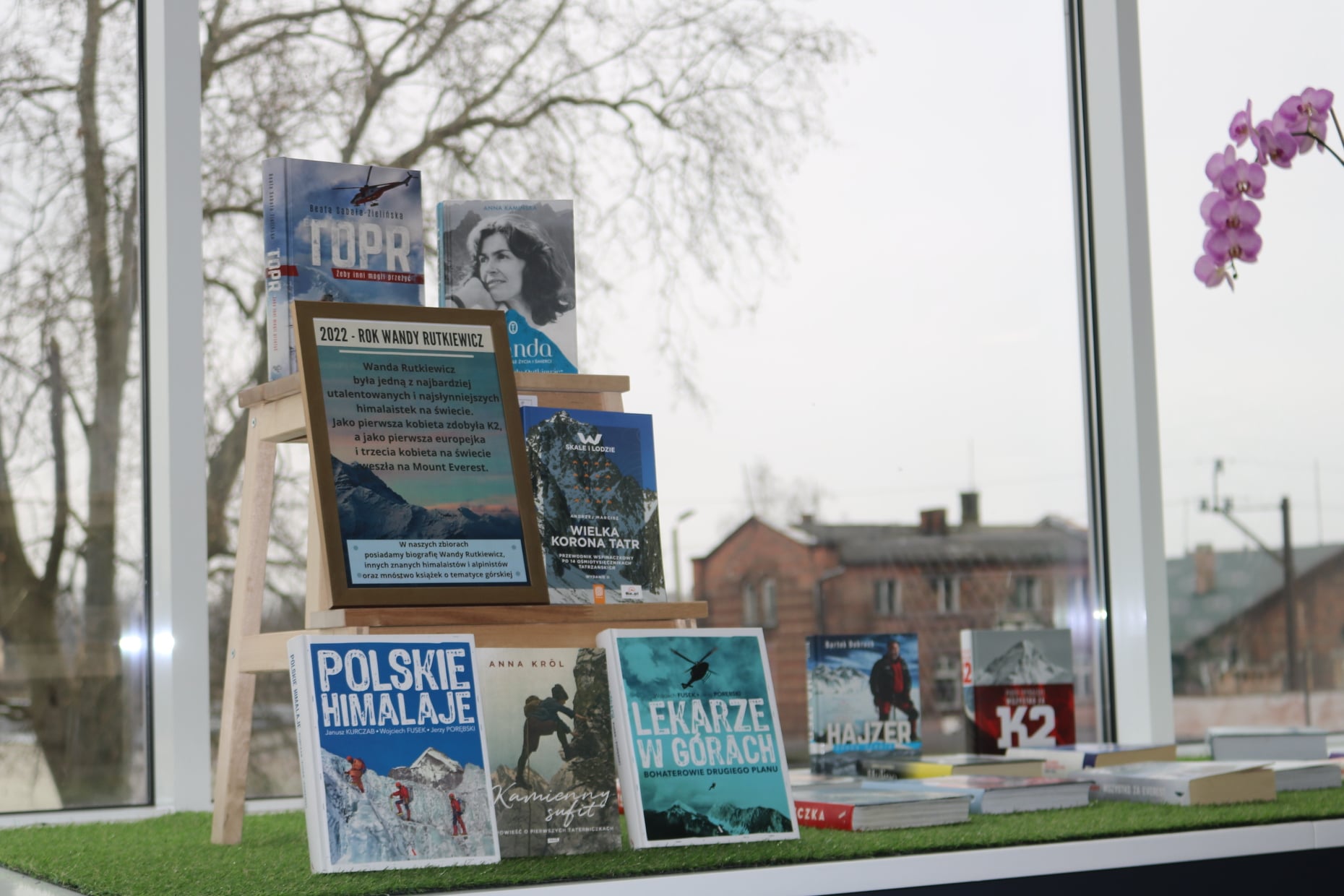 Wybrane ksiązki w tematyce himalaizmu na tle okienn biblioteki